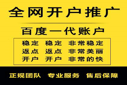 知名SEM公司案例分析：优化策略与成果